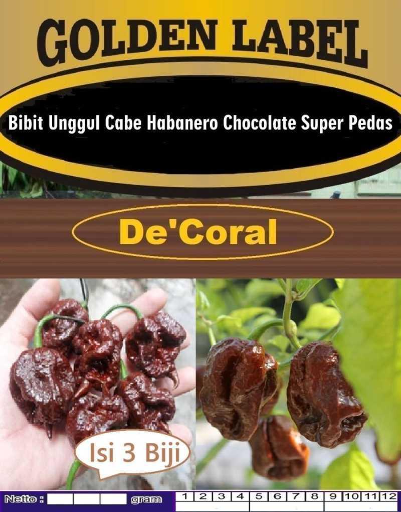 Daftar Habanero Terjamin: Pilihan Terbaik untuk Pedas dan Berkualitas